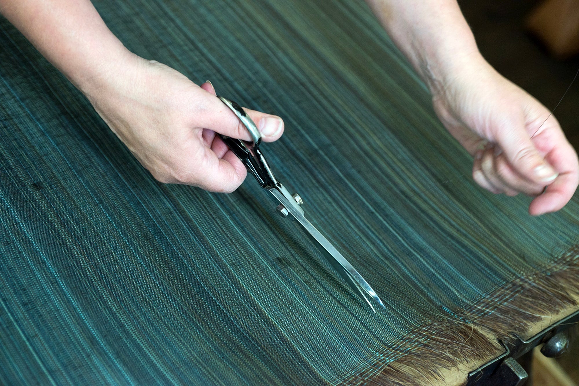 Horsehair