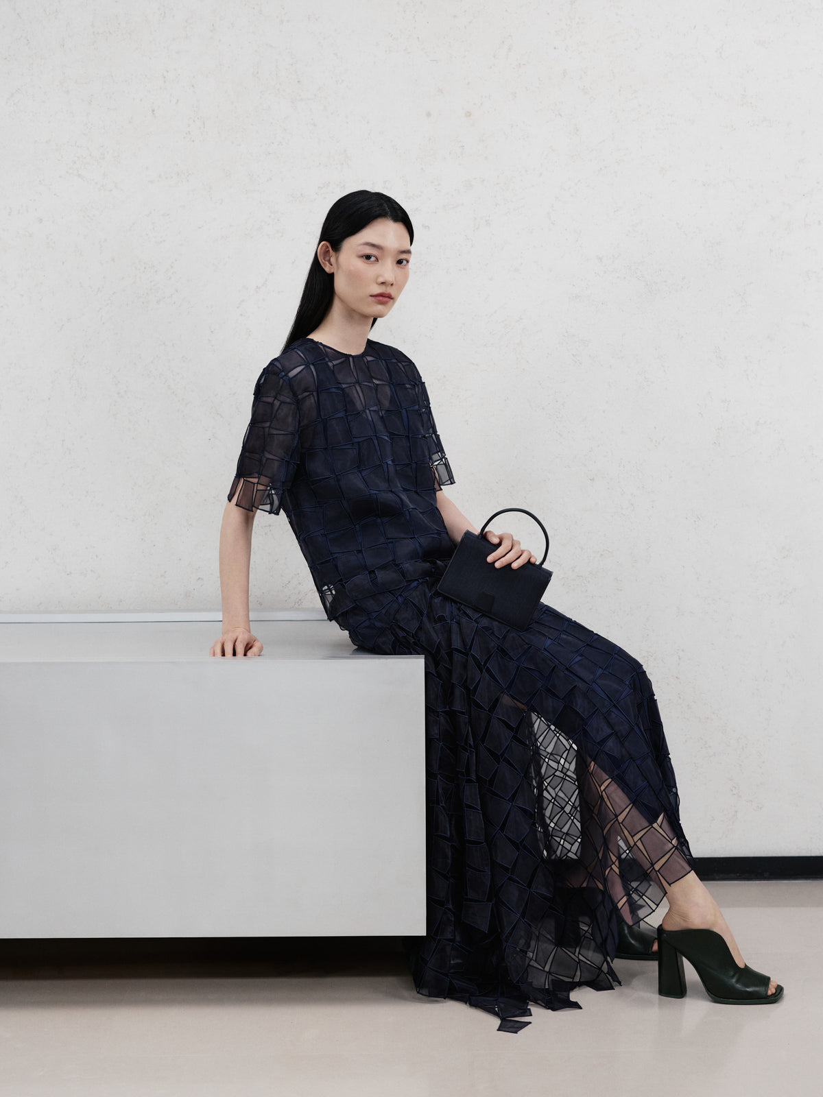 Discover the evening elegance of the Akris Pre-Fall collection, showcasing a stunning dark navy gown with an intricate, sheer grid pattern. Accessorized with a structured black luxury top-handle bag, this look defines modern refinement. Elevate your formal wardrobe with exquisite textures and signature Swiss design.