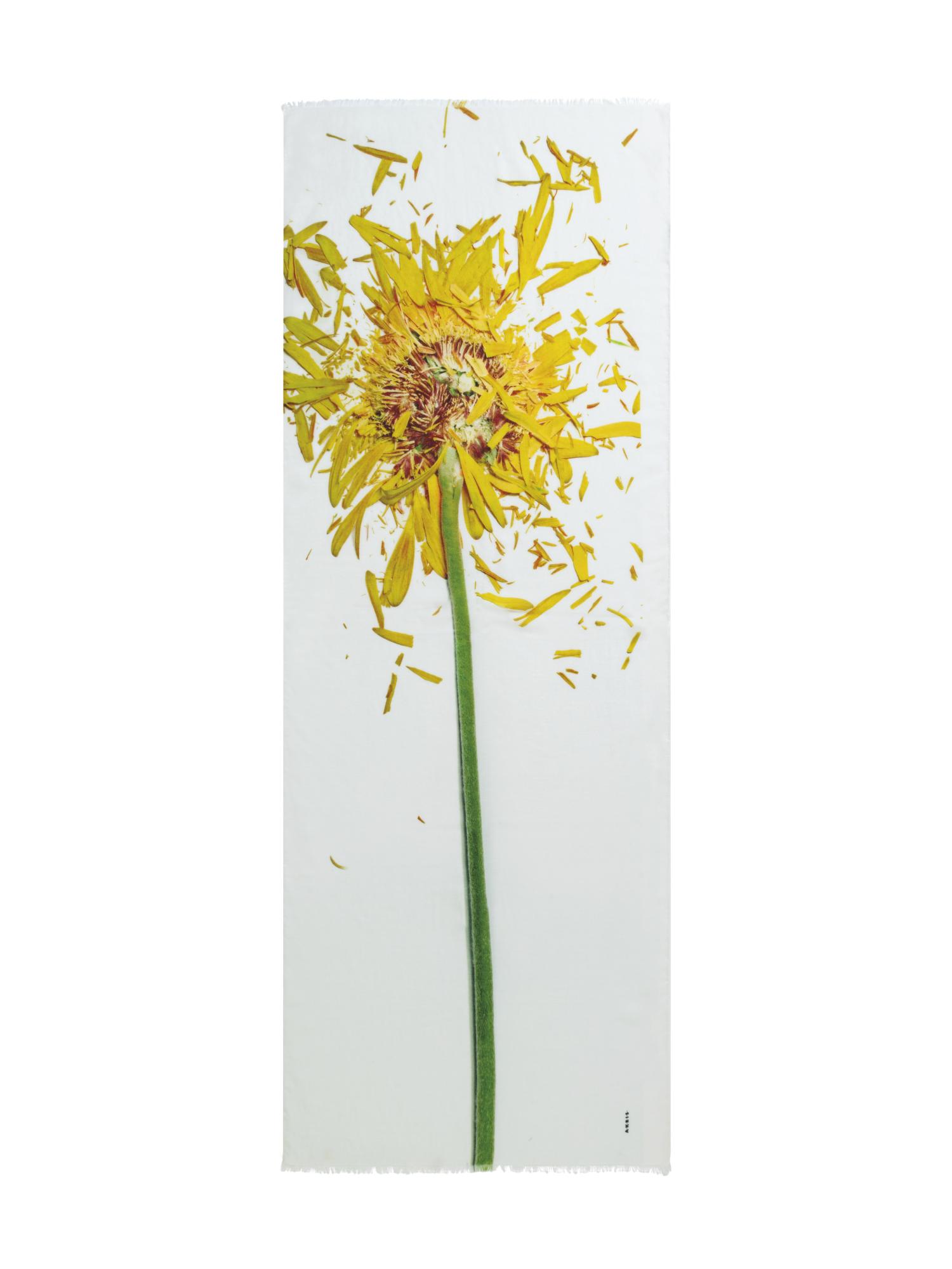 Designer Scarf Cashmere Silk Scattered Calendula Print - multicolor