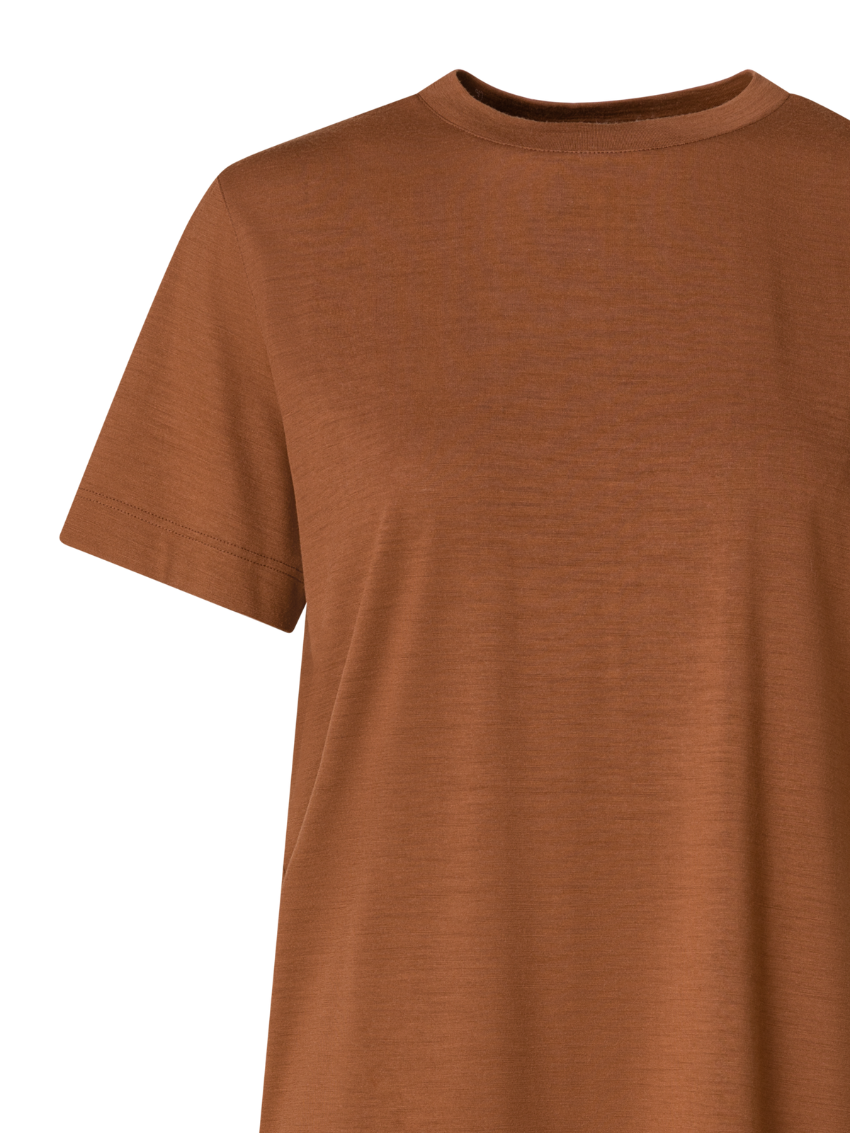 Designer Cotton Jersey T-Shirt - brown
