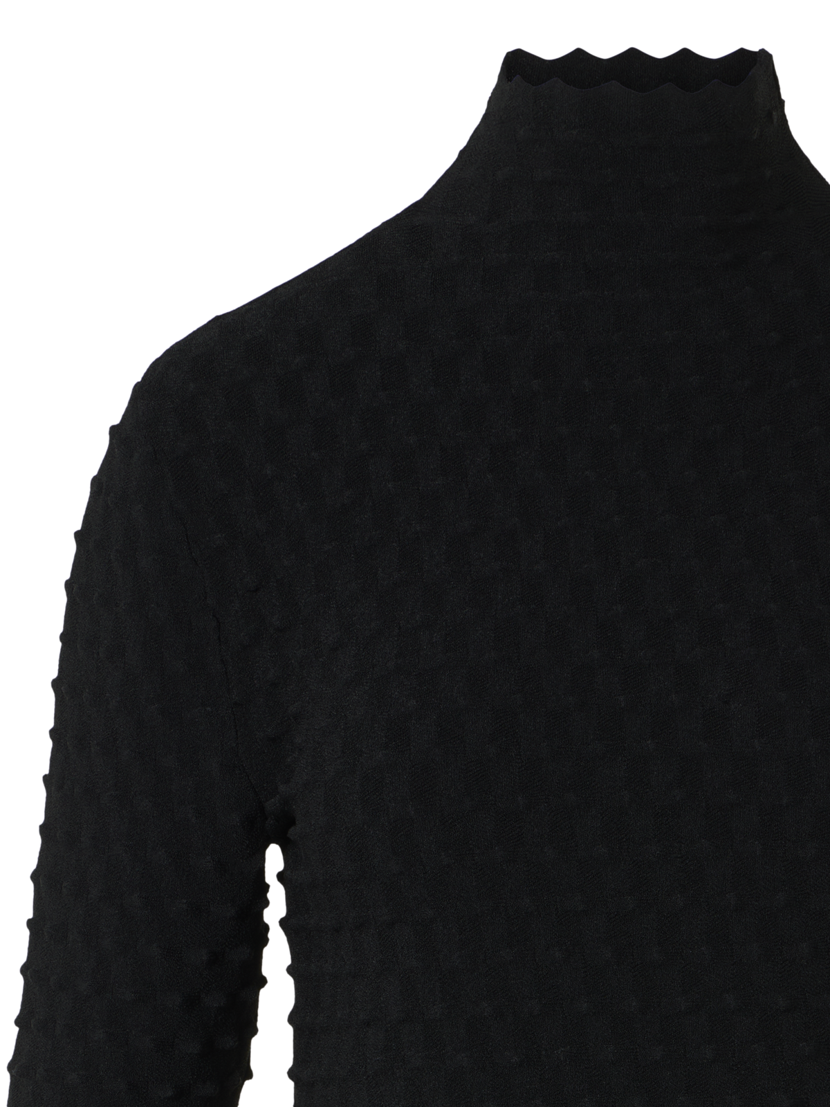 Designer 3D Textured Viscose Knit Sweater - black