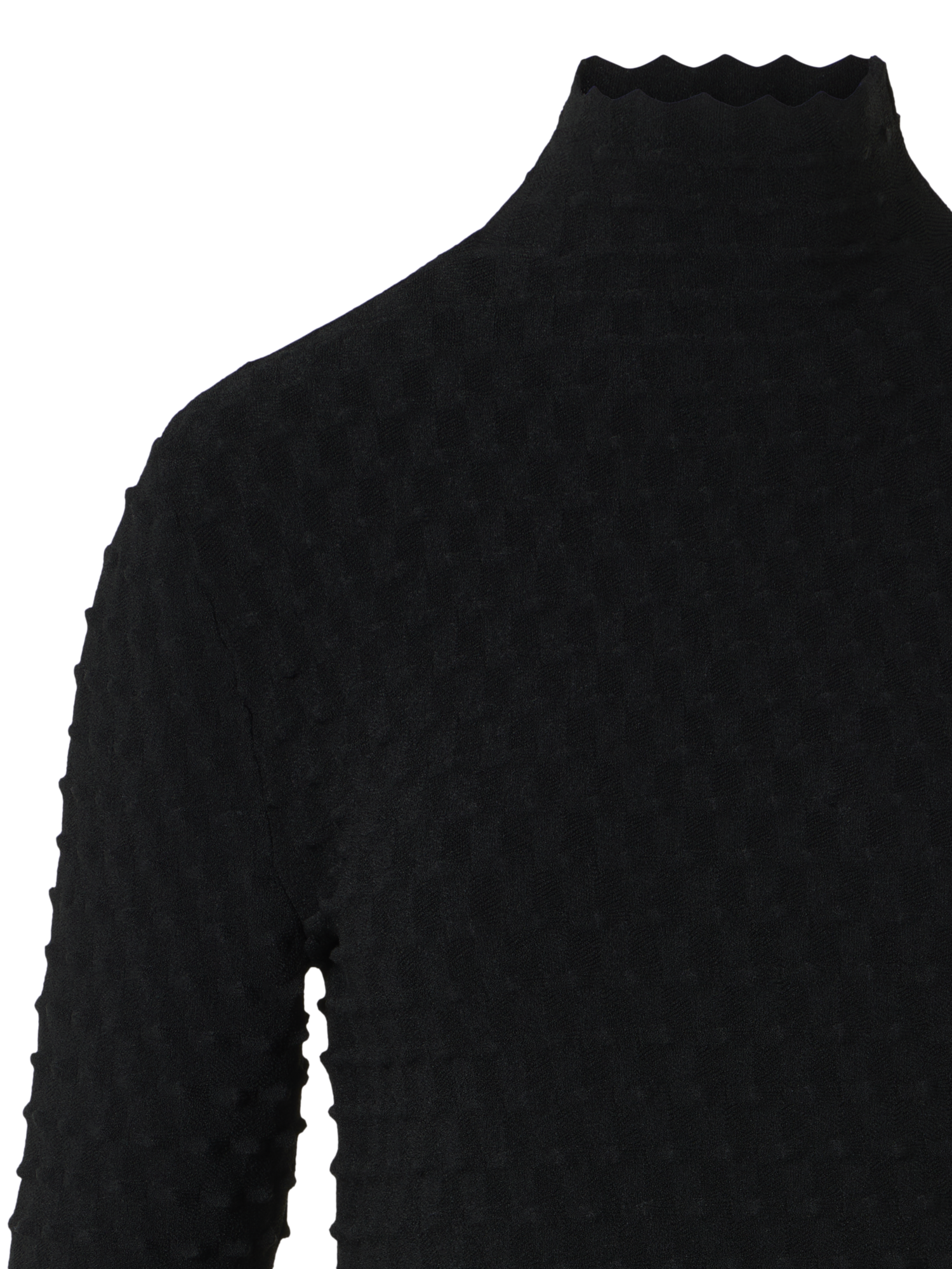 Designer 3D Textured Viscose Knit Sweater - black