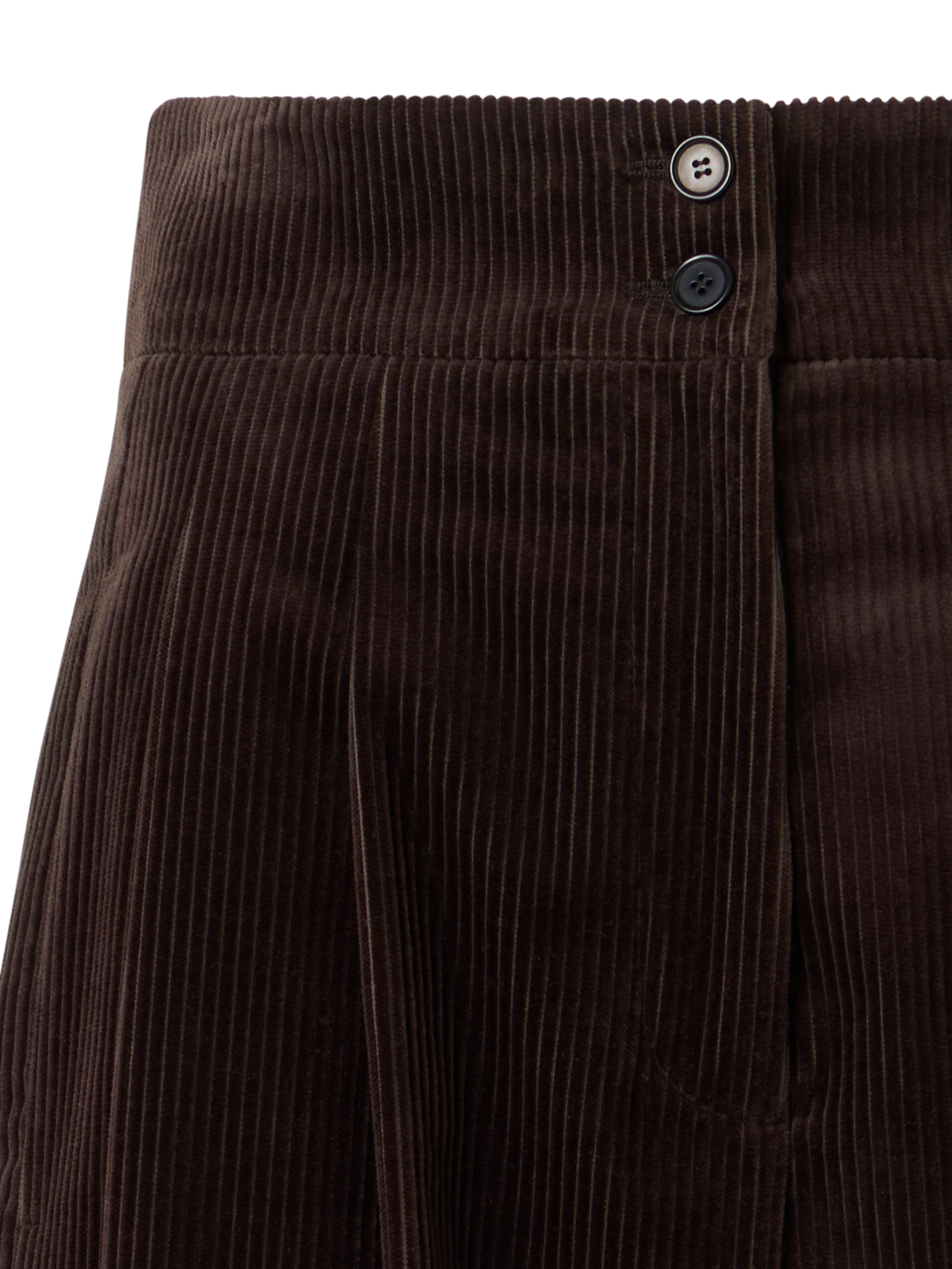 Designer Wide Pleated Pants in Cotton Corduroy - brown
