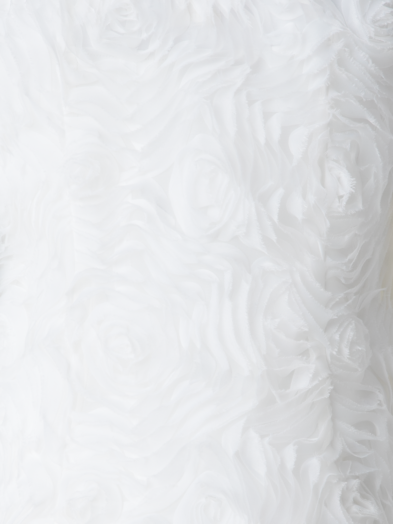 Designer Sleeveless Blouse with 3D Carnation Embroidery - neutral - ecru - white