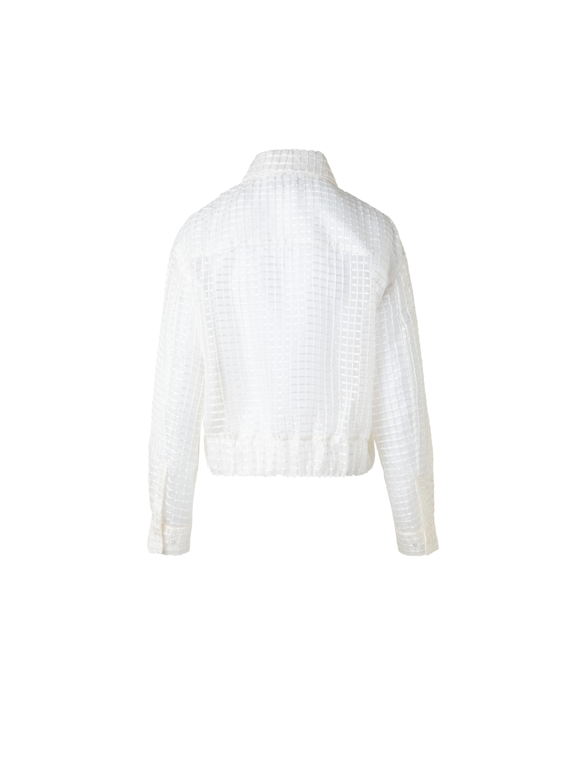 Designer Sheer Silk Blouson with Window Plaid Embroidery - ecru - white