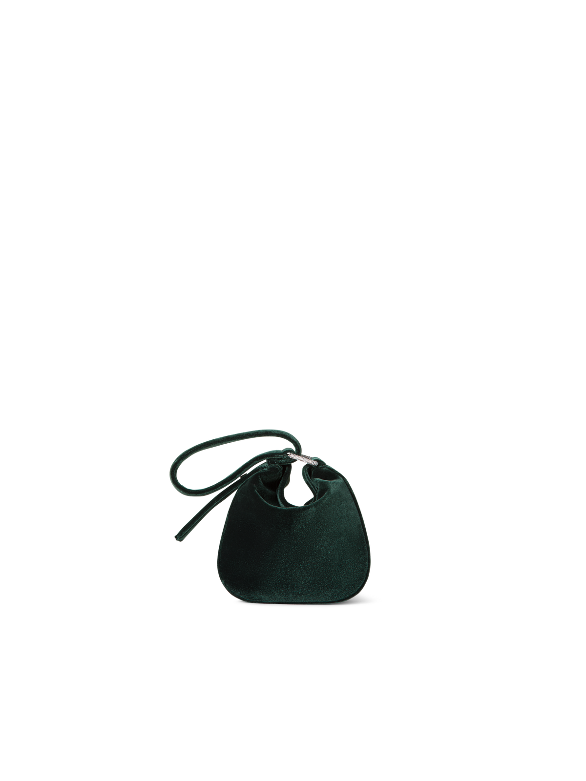 Designer Anna Mini Hobo - green