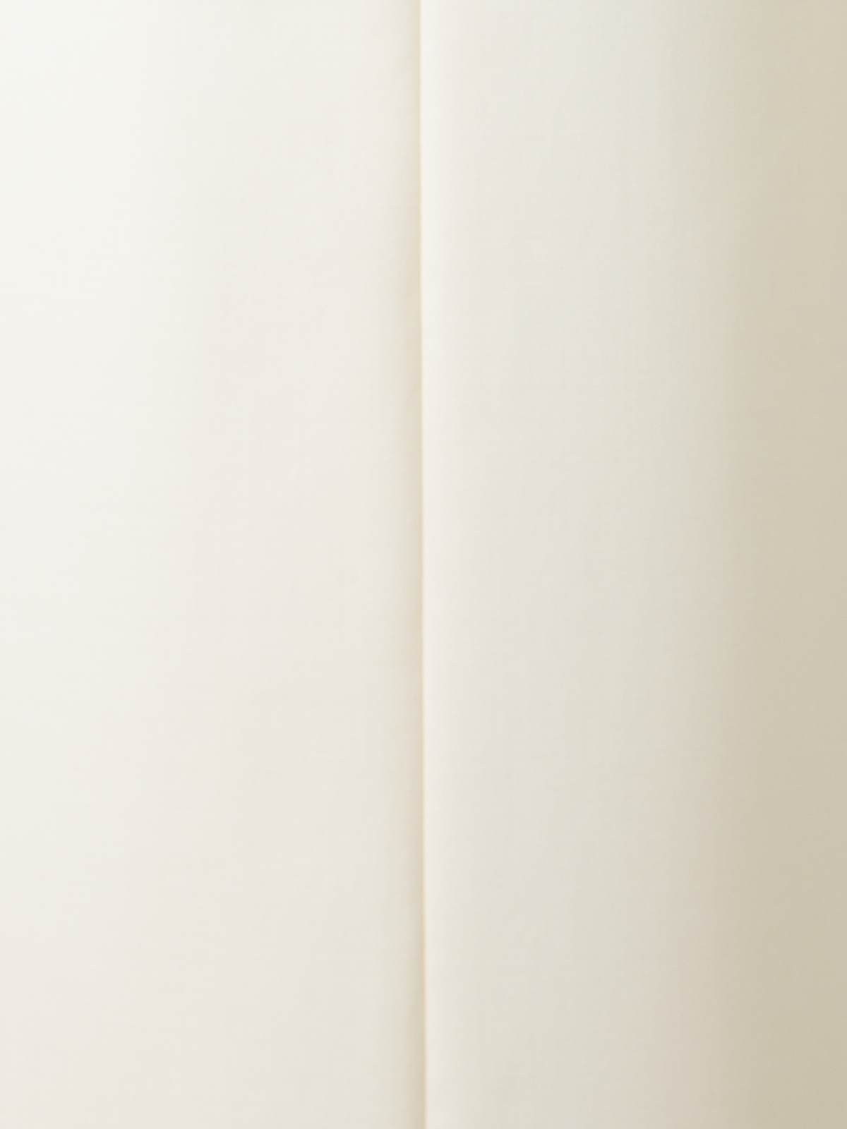 Designer Wide Straight Wool Double-Face Pants - neutral - ecru - white