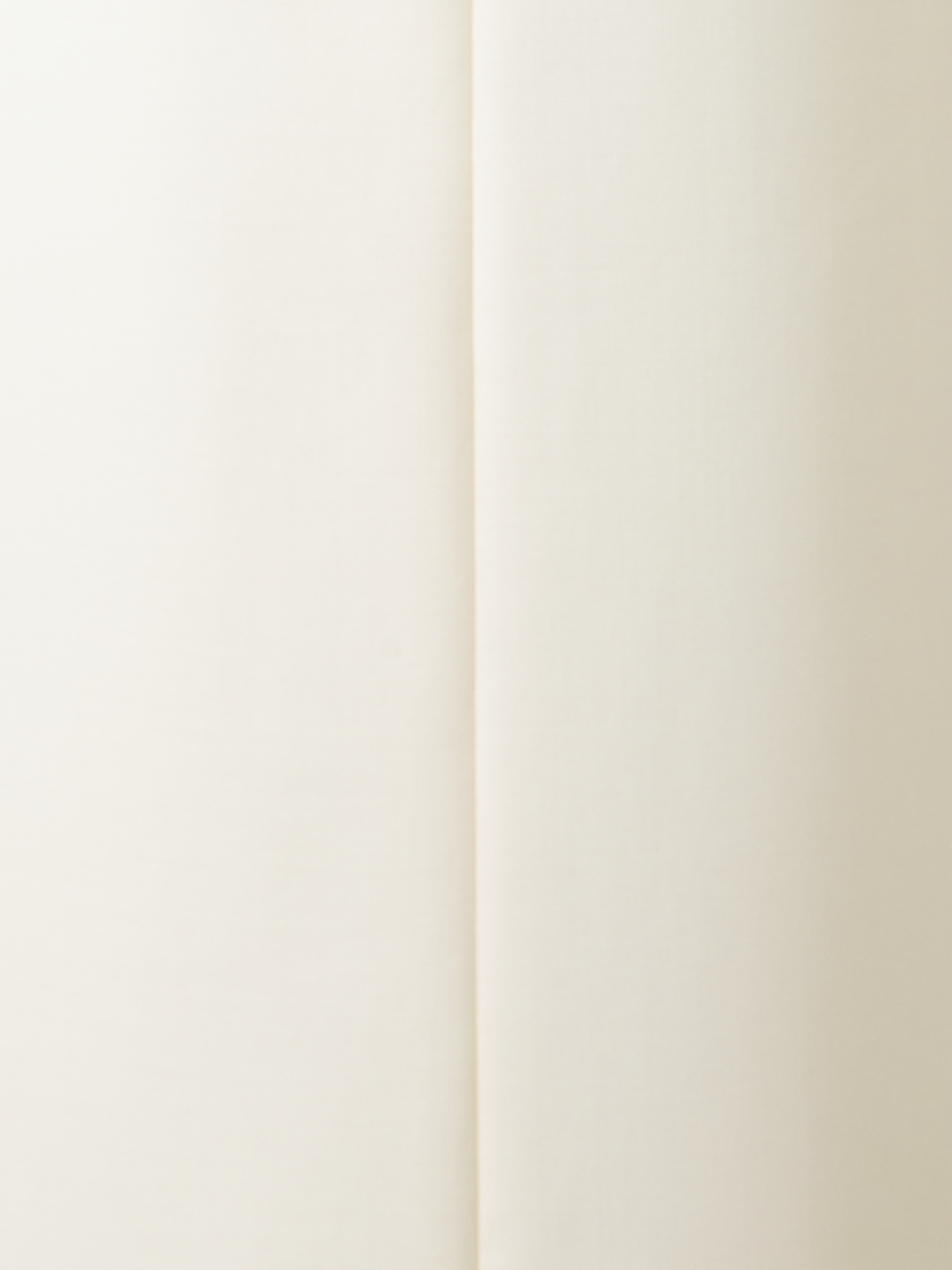 Designer Wide Straight Wool Double-Face Pants - neutral - ecru - white