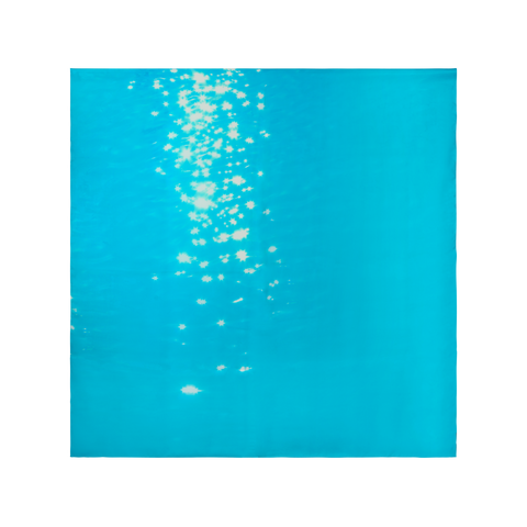 Reflects print scarf