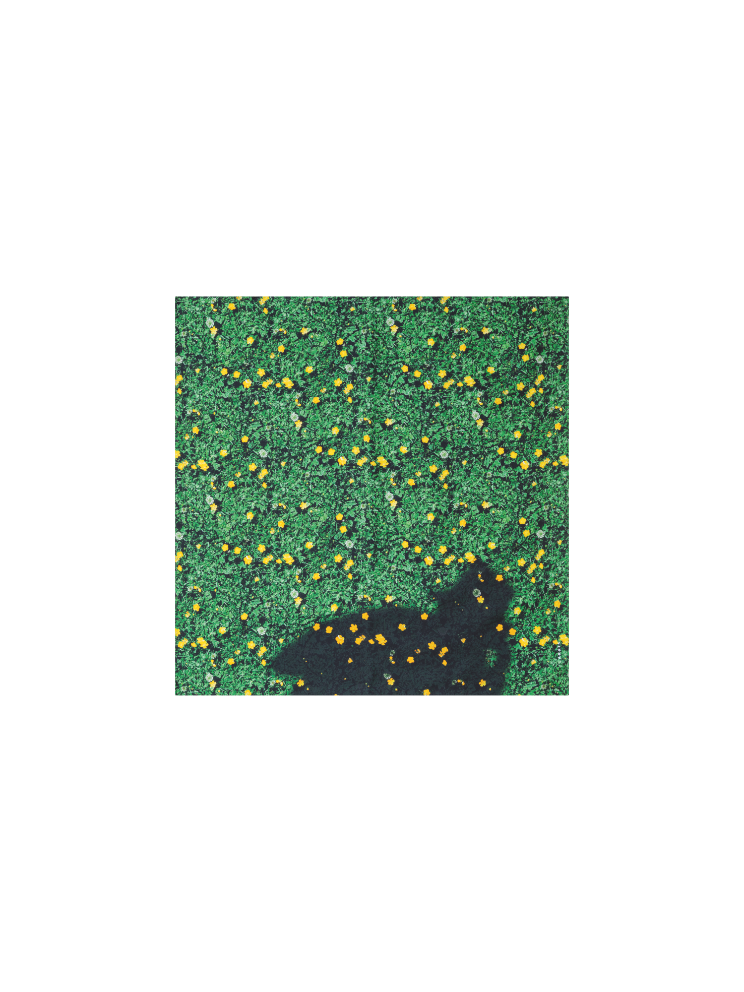 Designer Scarf in Silk with Buttercups Print - green