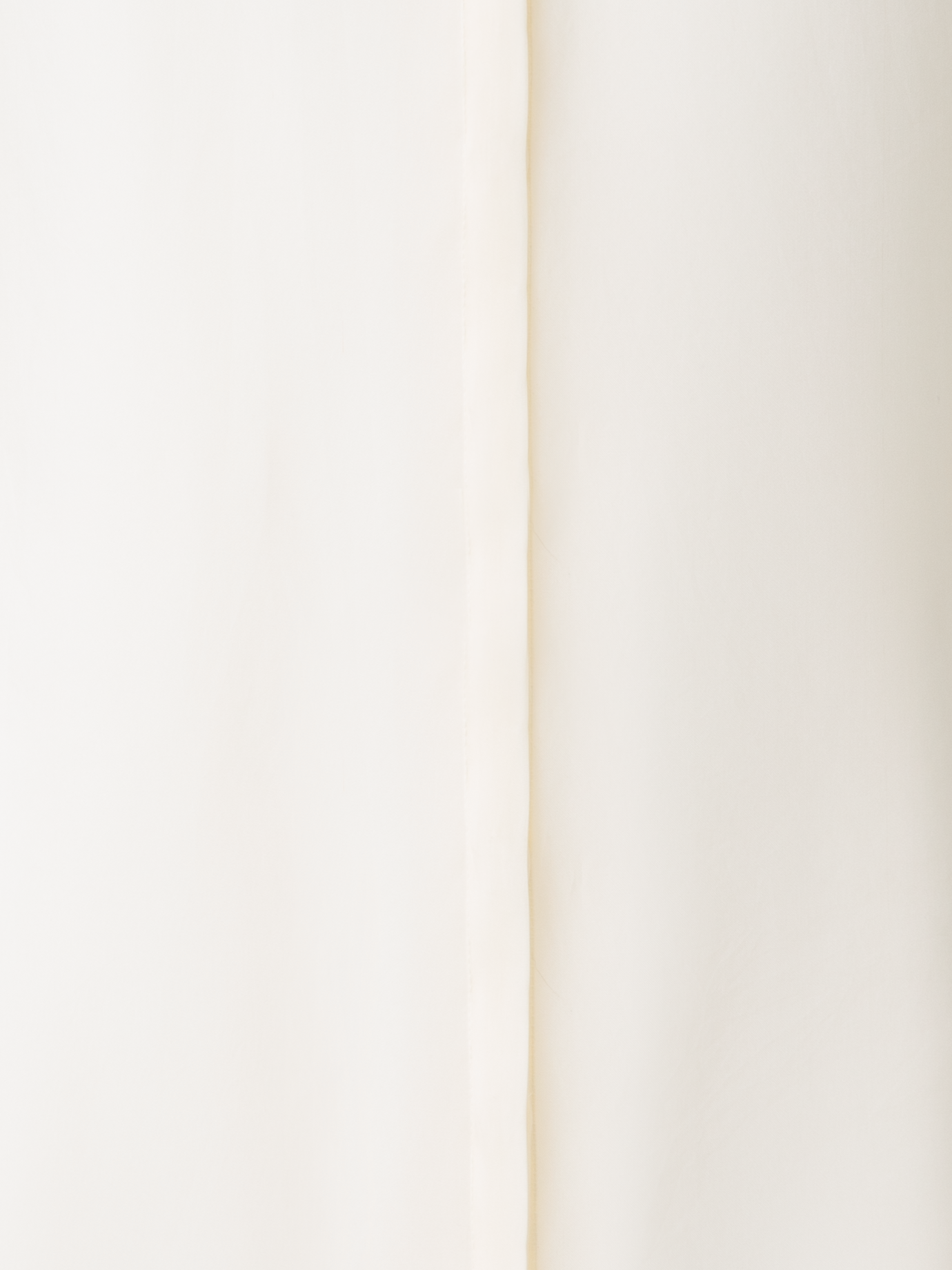 Designer Sheer Silk Organza Blouse - neutral - ecru - white