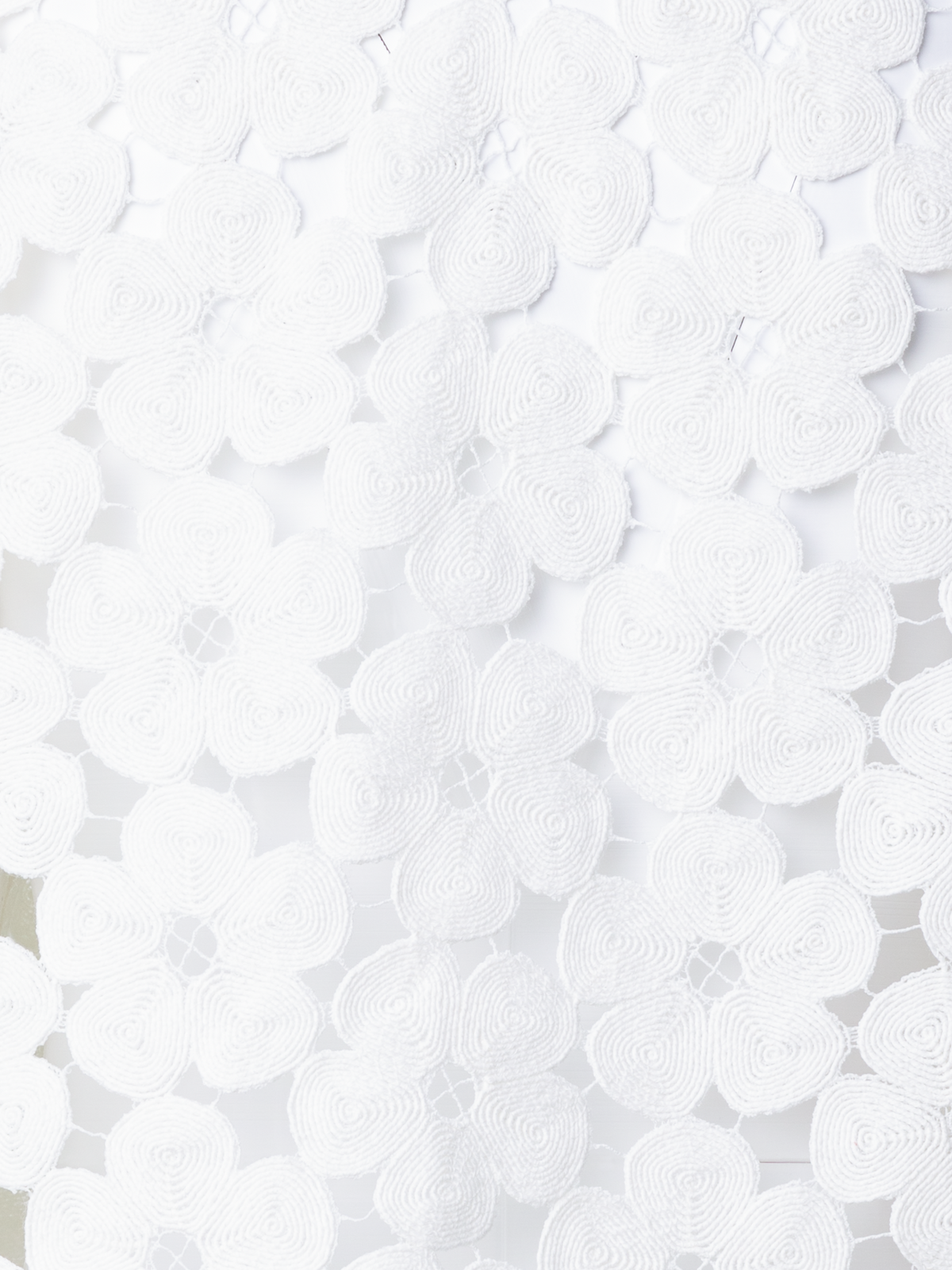 Designer Short Jacket with Allover Anemone Embroidery - ecru - white