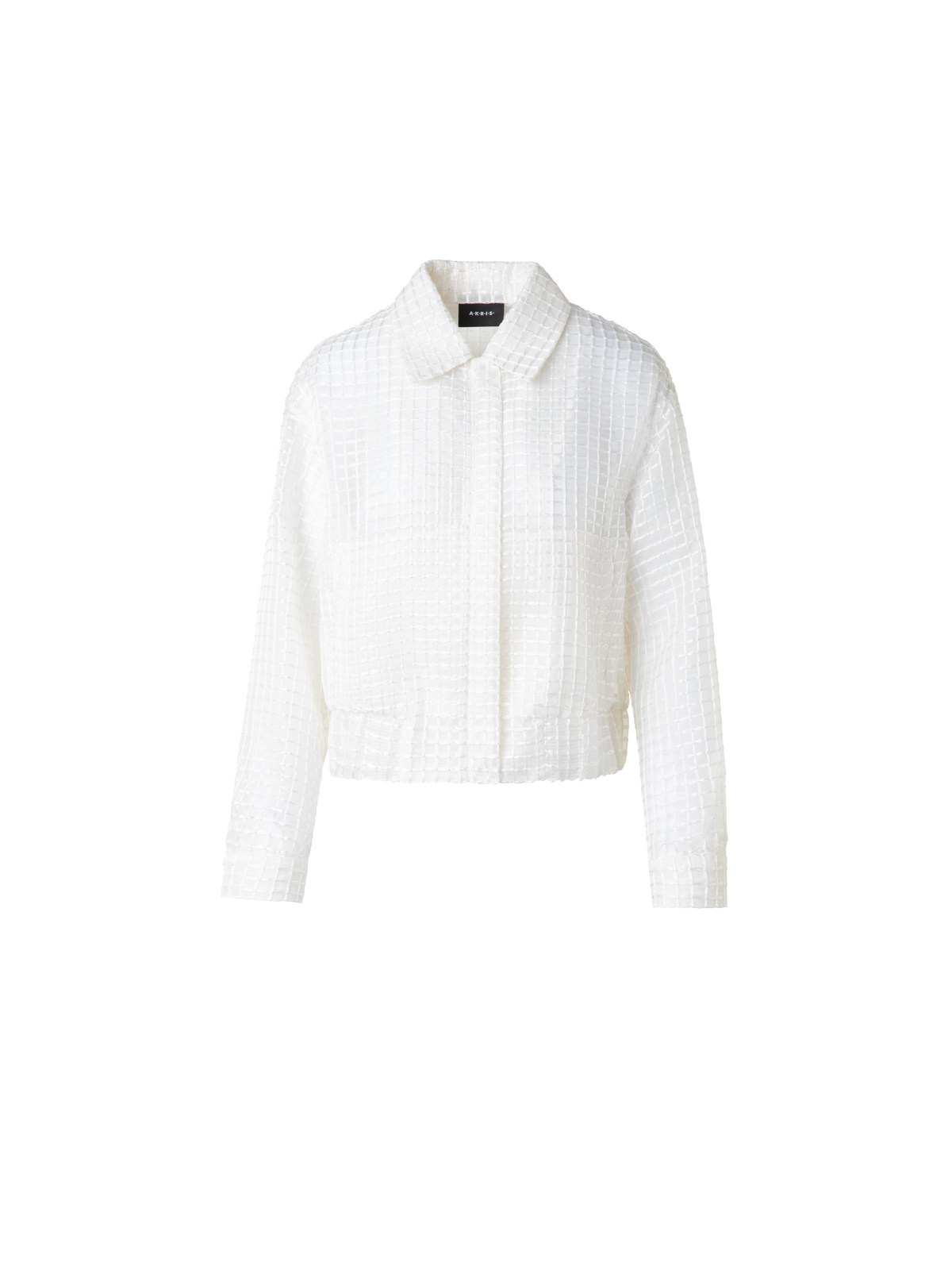 Designer Sheer Silk Blouson with Window Plaid Embroidery - ecru - white