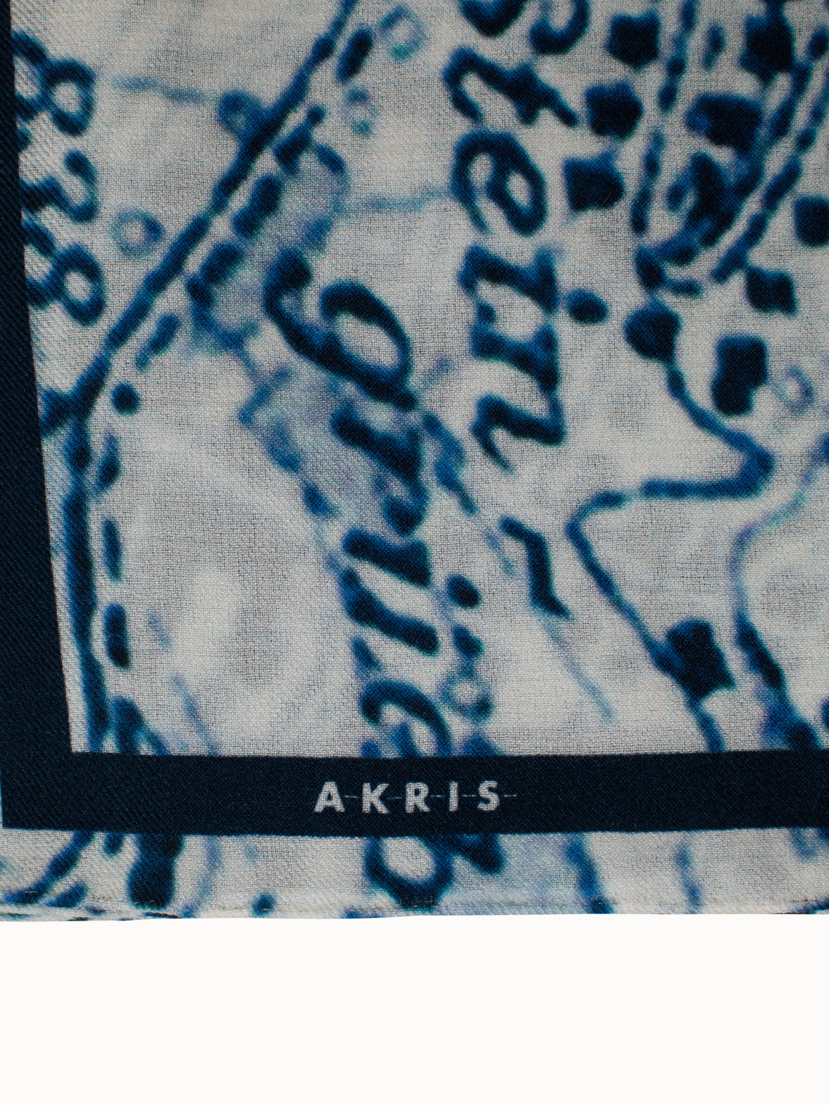 Cashmere Silk St. Gallen Map Print Scarf